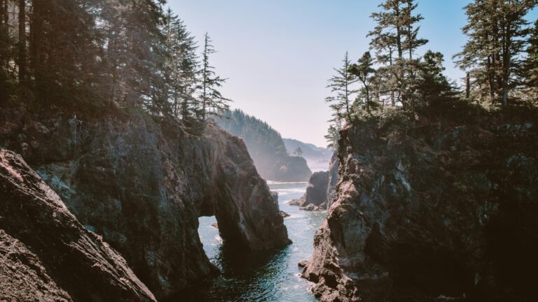 A stunning river winds through tree-lined bluffs.