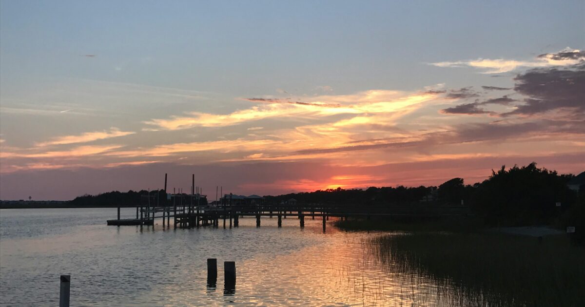 Grassy shores of the ocean with a wooden pier and trees sticking out of the water at sunset.