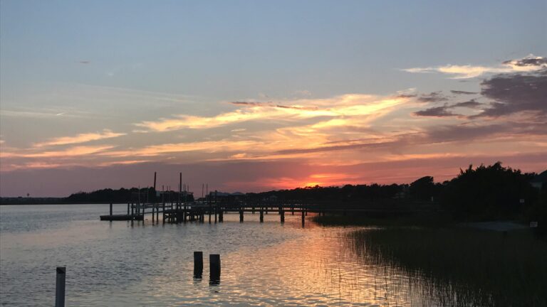 Grassy shores of the ocean with a wooden pier and trees sticking out of the water at sunset.