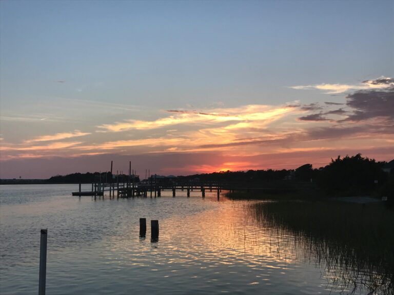 Grassy shores of the ocean with a wooden pier and trees sticking out of the water at sunset.