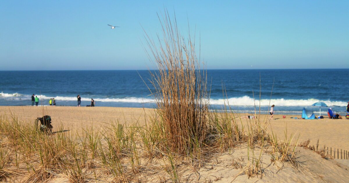 One of the best beaches in Maryland