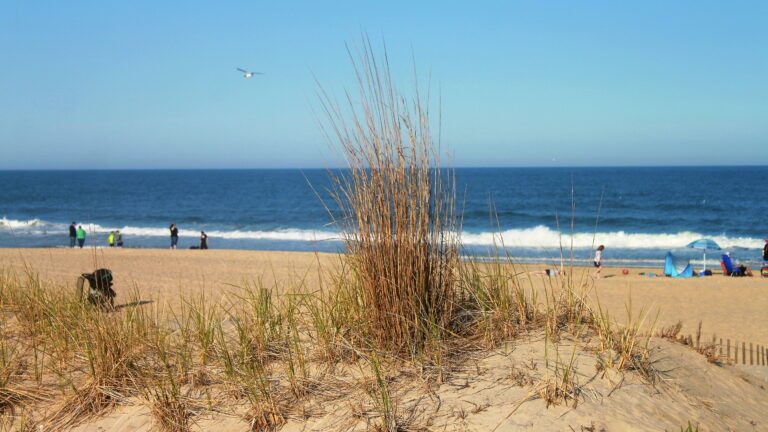 One of the best beaches in Maryland