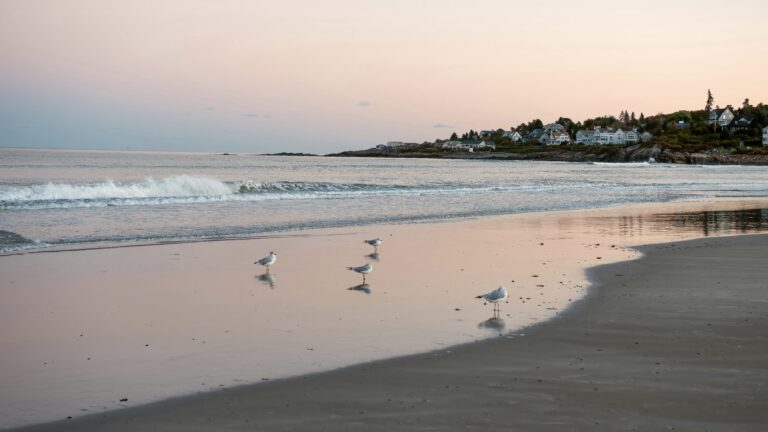 One of the best beaches in Maine