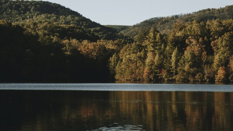one of the best beaches in Tennessee