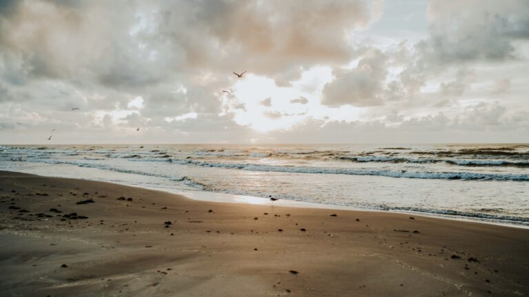 one o the best beaches in Texas