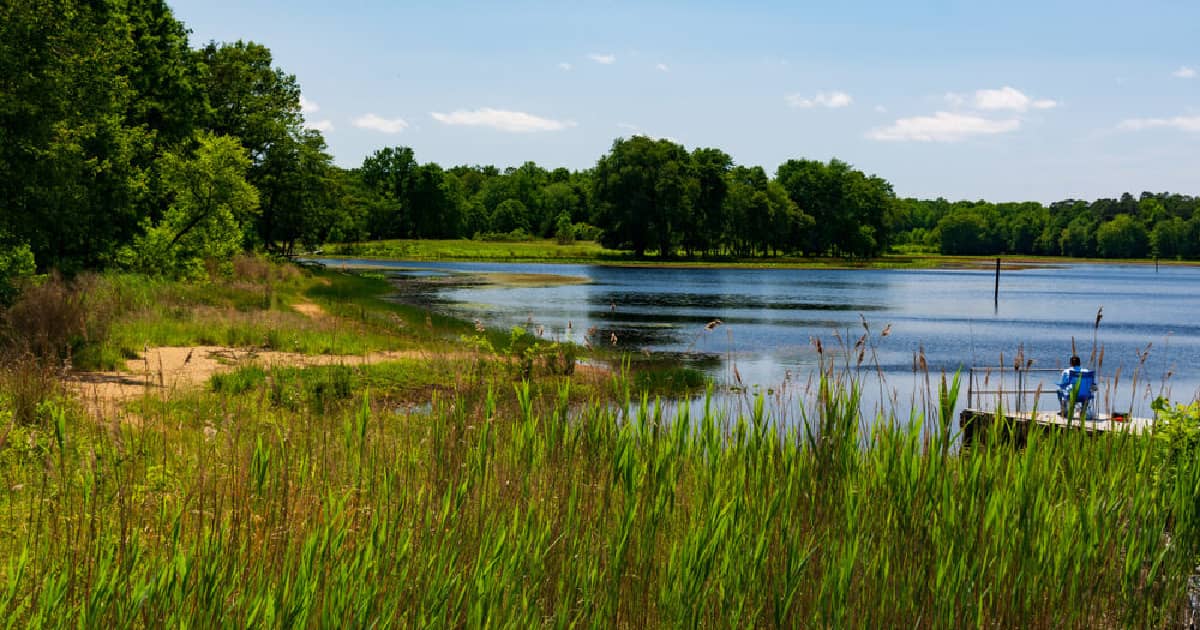 a marshy pond where people can go fishing in Maryland