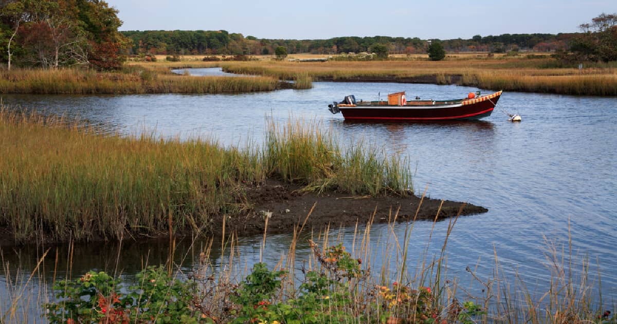 a pond with a boat, setting the scene for fishing in Massachusetts