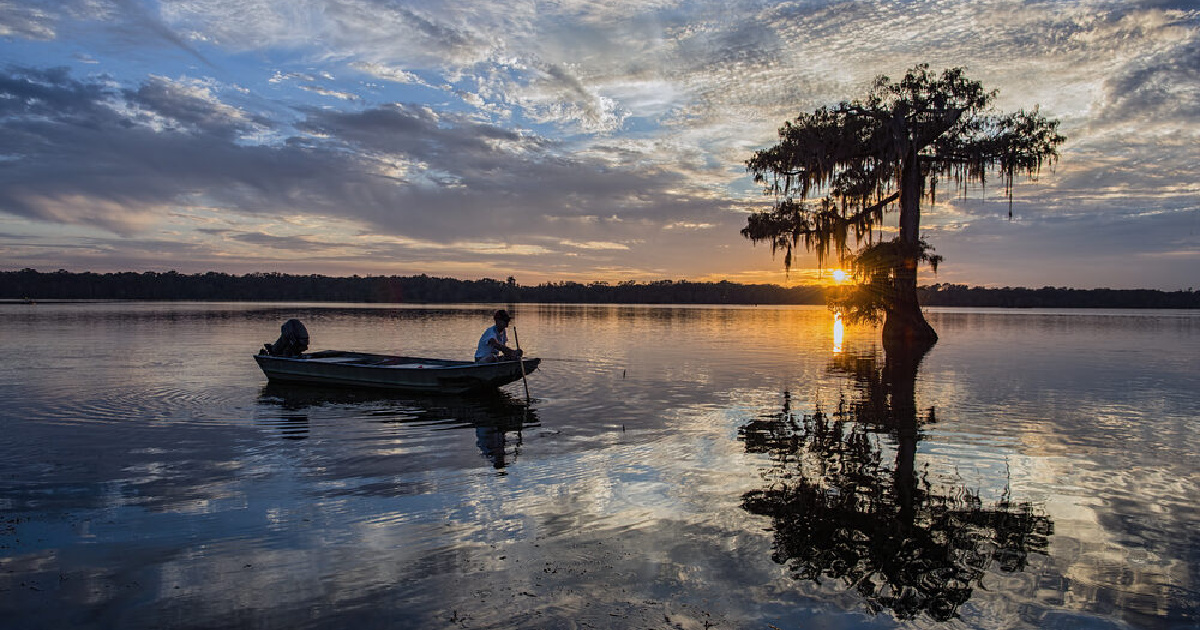 people in a boat on a lake fishing in Louisiana