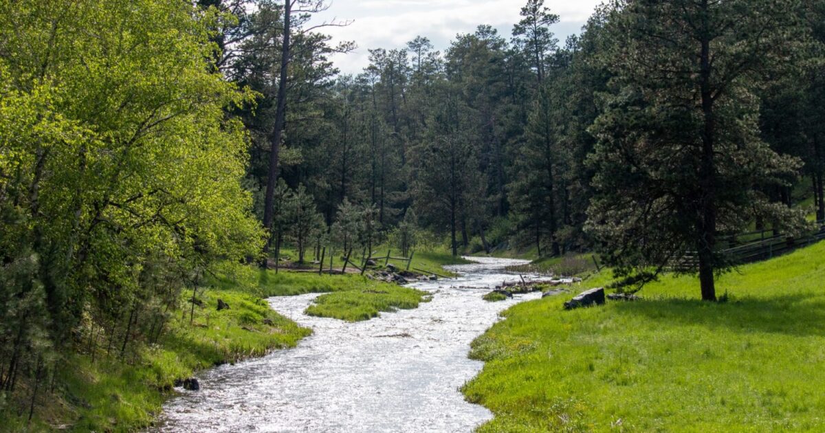 A small river flows past green, grassy fields and a stand of tall green trees. A great spot for fishing in South Dakota