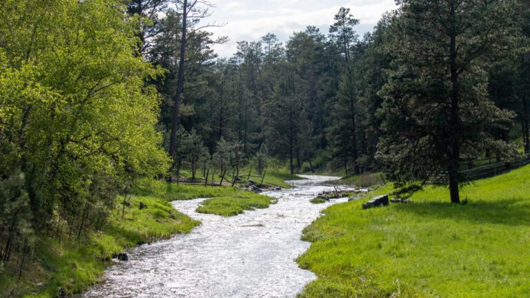 A small river flows past green, grassy fields and a stand of tall green trees. A great spot for fishing in South Dakota
