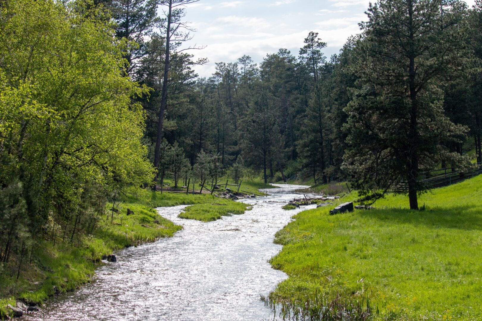 A small river flows past green, grassy fields and a stand of tall green trees. A great spot for fishing in South Dakota