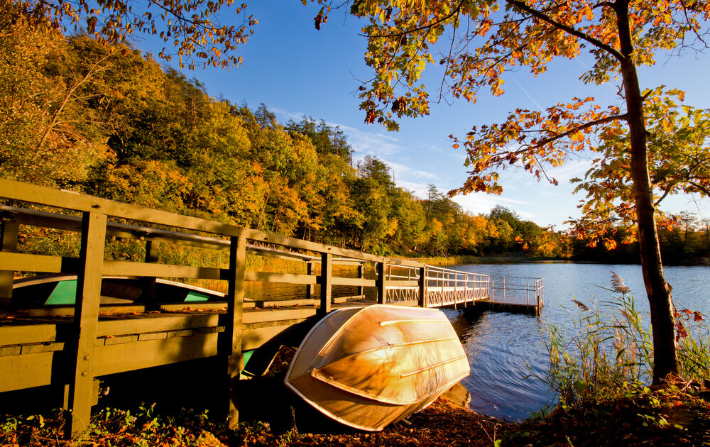 A row boat leans against a wooden pier in a lake surrounded by autumn trees under a bright blue sky while fishing in New York