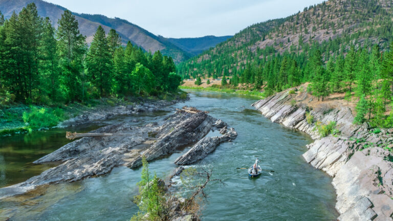 A boat for fishing in Montana ambles down a river surrounded by verdant green forest.