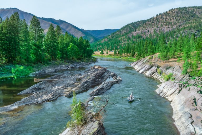 A fishing boat ambles down a river surrounded by verdant green forest.