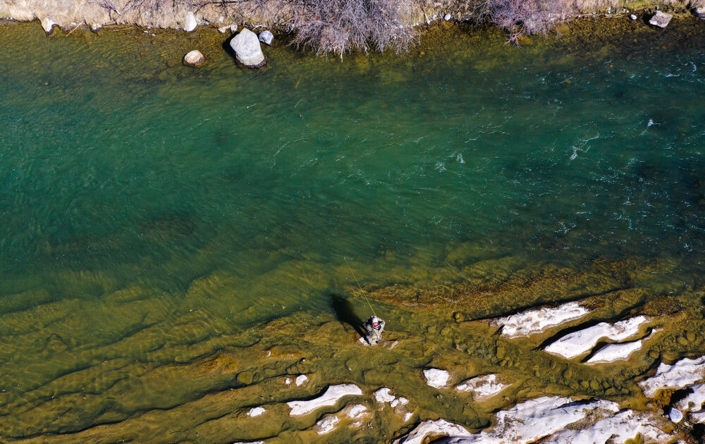 An angler wading and fishing in a calm, blue-green river surrounded by red scrub brush and a brown, rocky mesa while fishing in New Mexico