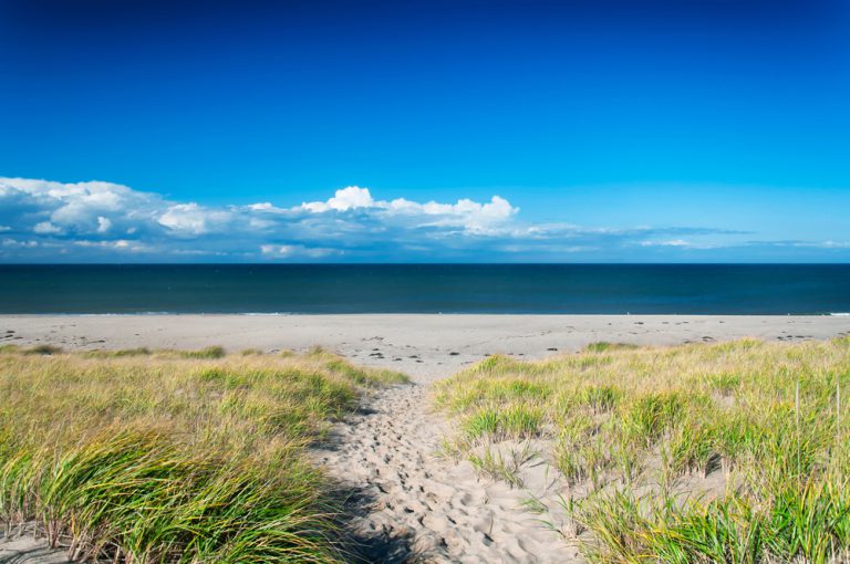 The grass covered sand dunes leading to race point beach on the cape cod national seashore in massachusetts. on a sunny blue sky day.