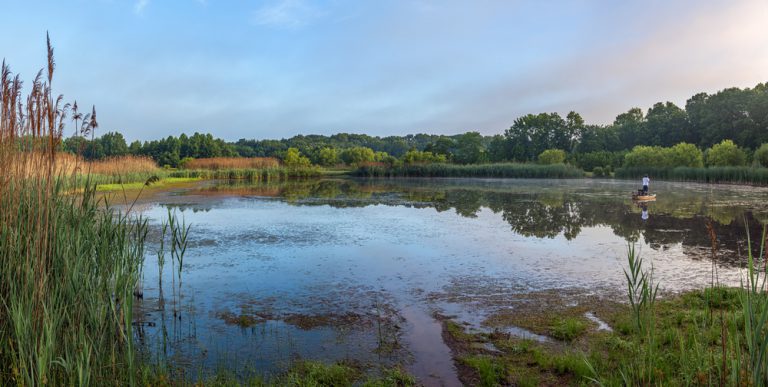 A man fishes from him boat in the early morning, on a marshy lake.