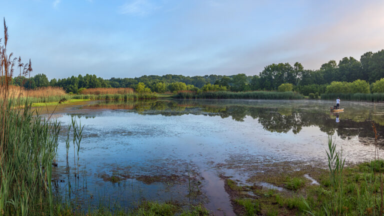 A man is fishing in New Jersey from his boat in the early morning, on a marshy lake.