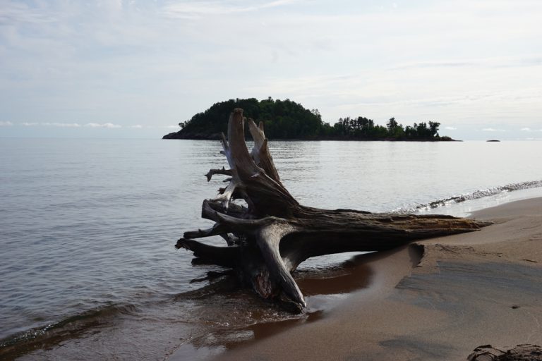 Little Presque Isle with Driftwood Scene near Marquette, MI