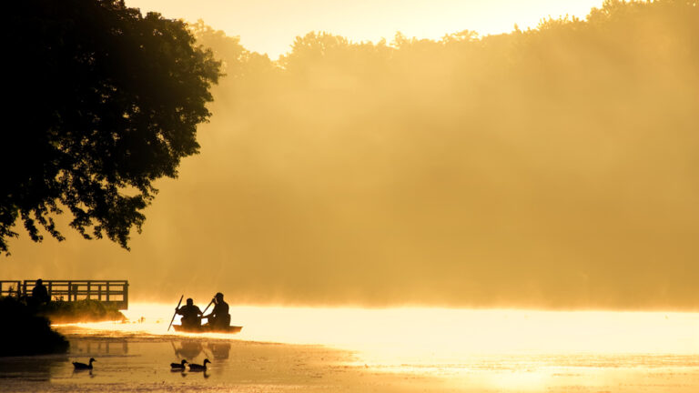 Two people fishing in Pennsylvania in a boat near the shore start rowing into foggy waters, colored gold by the rising sun.
