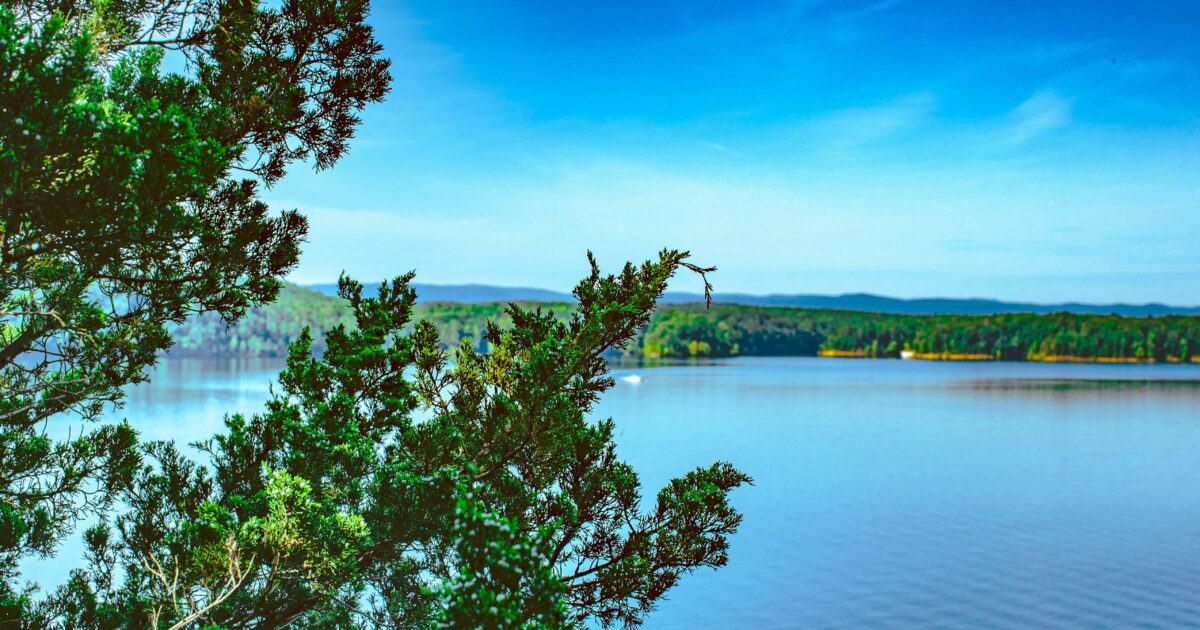 Bright green evergreens overlook a wide blue lake and forested hills on a clear, sunny day.