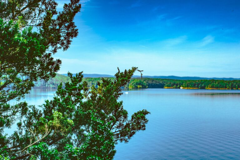 Bright green evergreens overlook a wide blue lake and forested hills on a clear, sunny day.