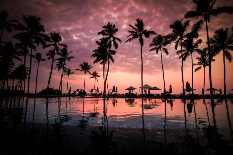 Palm trees line a beach next to a pool under an orange sky at sunset.