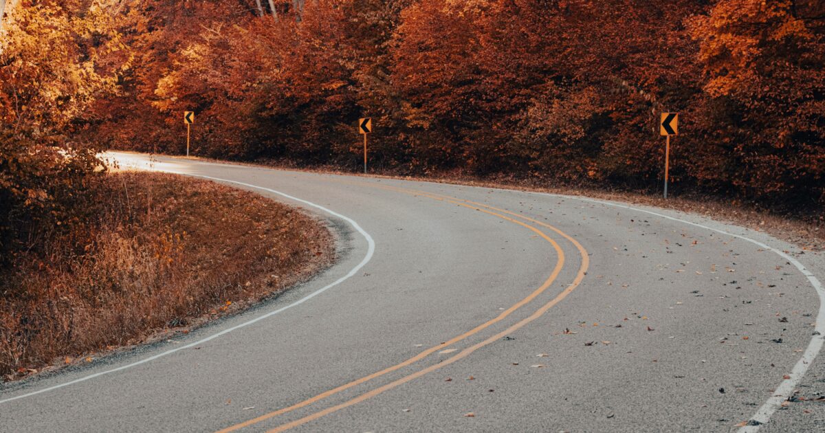 An empty road winds through a colorful autumn forest