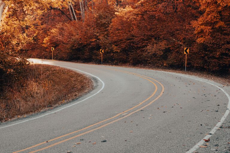 An empty road winds through a colorful autumn forest