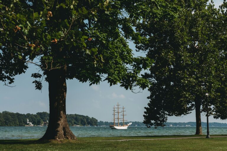 Tall ship on a lake viewed through trees on a grassy shore