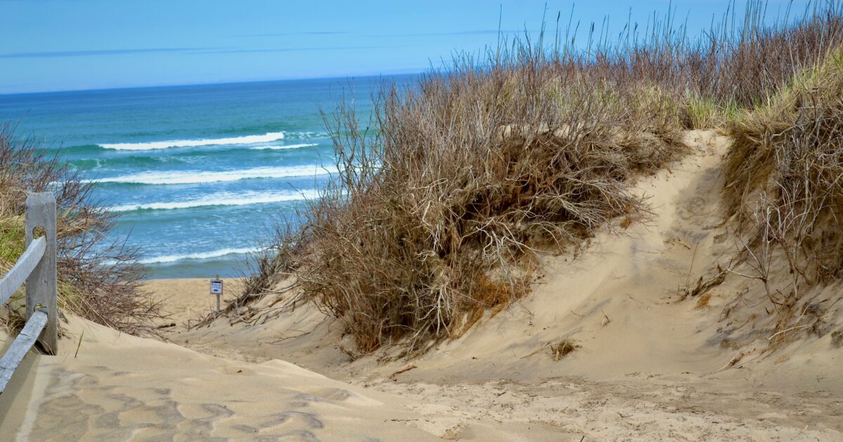 A sandy beach framed by brown vegetation and a wooden rail to the left with a view of the blue ocean waters and sky.