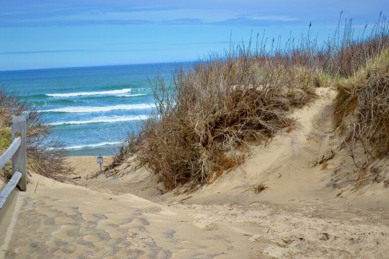 A sandy beach framed by brown vegetation and a wooden rail to the left with a view of the blue ocean waters and sky.