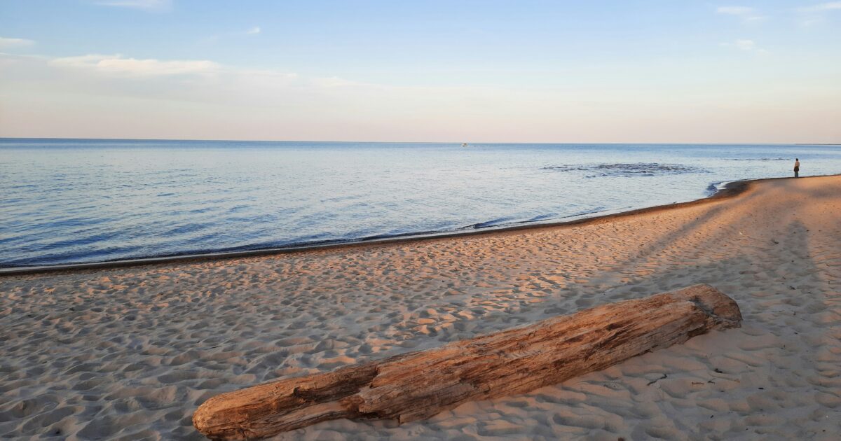 A driftwood log rests on a sandy beach next to the expanse of Lake Michigan.