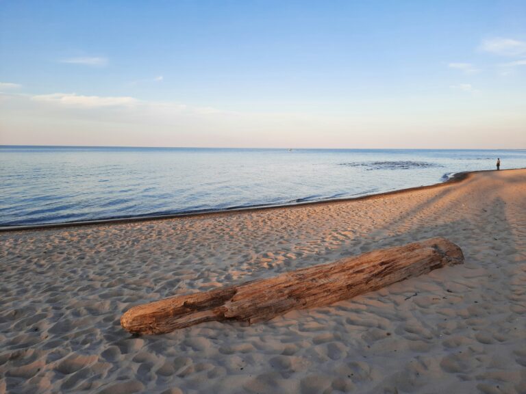 A driftwood log rests on a sandy beach next to the expanse of Lake Michigan.