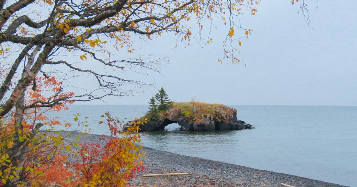 Multicolored plants and two small, lonely trees cover a small stone arch near the shore of a lake in Minnesota.