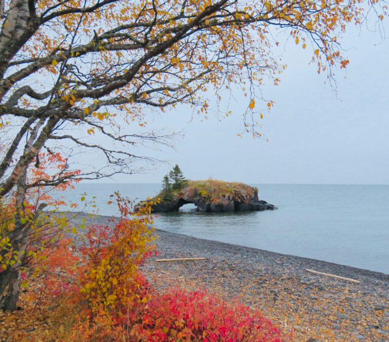 Multicolored plants and two small, lonely trees cover a small stone arch near the shore of a lake in Minnesota.