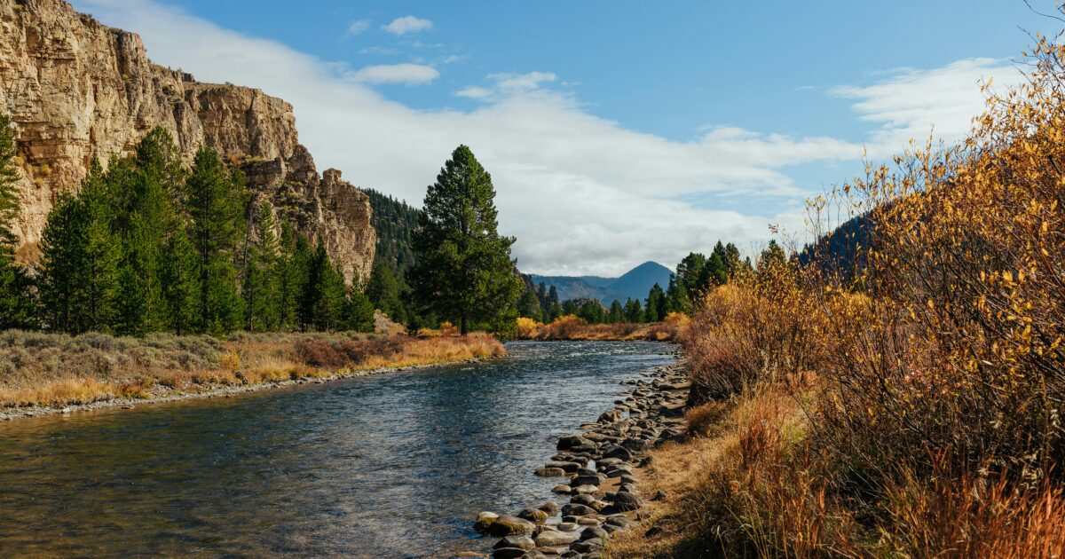 A river running through the Montana countryside with trees and mountains in the background.