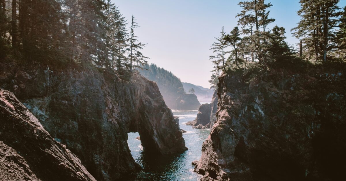 Pines line rocky cliffs and natural arches over blue water.