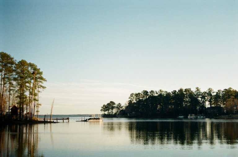 Tall pine trees surround a lake with a short dock and pale blue water.