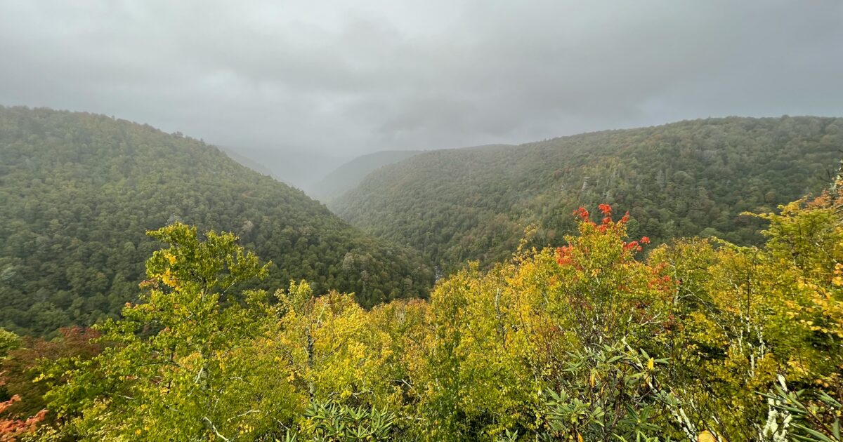 Green vegetation with two green tree-covered mountains in the background under a dark cloudy sky.