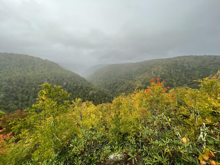 Green vegetation with two green tree-covered mountains in the background under a dark cloudy sky.