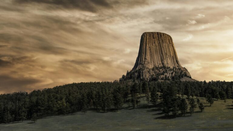A brown cylinder-shaped rock formation surrounded by a forest
