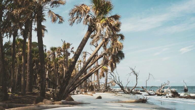 one of the best beaches in South Carolina