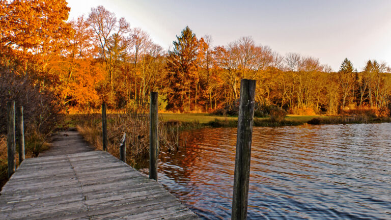 A wooden dock floats on a blue lake surrounded by orange and yellow trees.