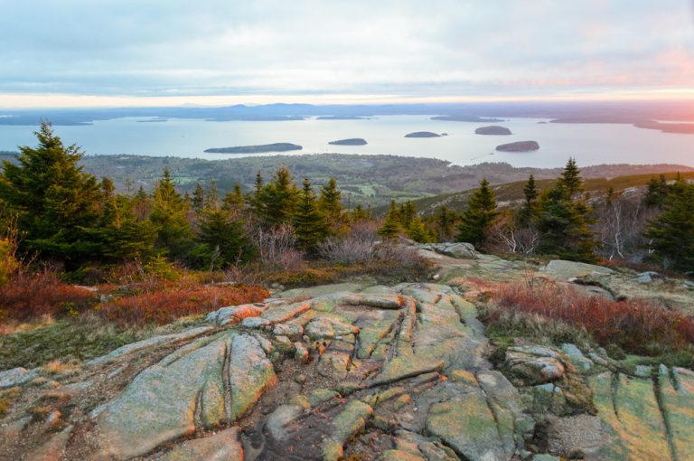 Trees on a hillside looking over a distant lake with rock formations in it. Rock formations sit in the foreground.