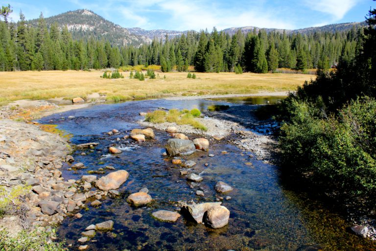 Boulders and rocks in a river beside a large grassy area. A gray mountain peaks over green trees in the background