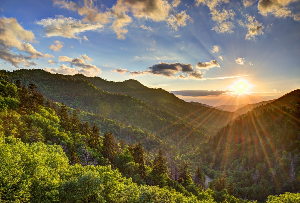 The sun shines between mountains in a blue sky with puffy golden clouds. The tops of green trees are in the foreground