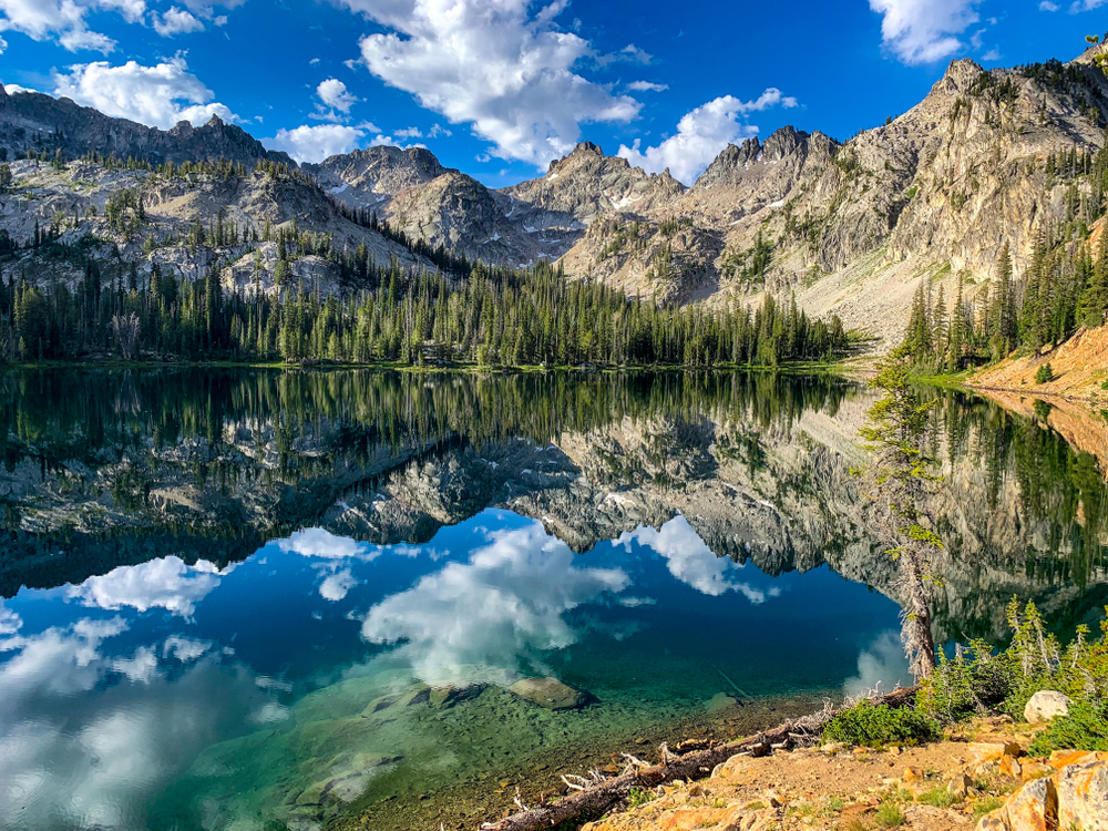 A lake reflects a blue sky with white puffy clouds and the surrounding trees and mountains.