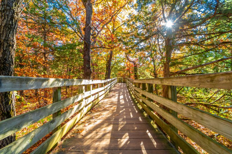 A wooden bridge leads a pathway through tall trees with orange, yellow and green leaves. The sun peaks through the treetops