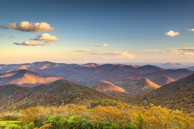 Yellow and green plants looking over forest-covered purple and golden mountains at dusk